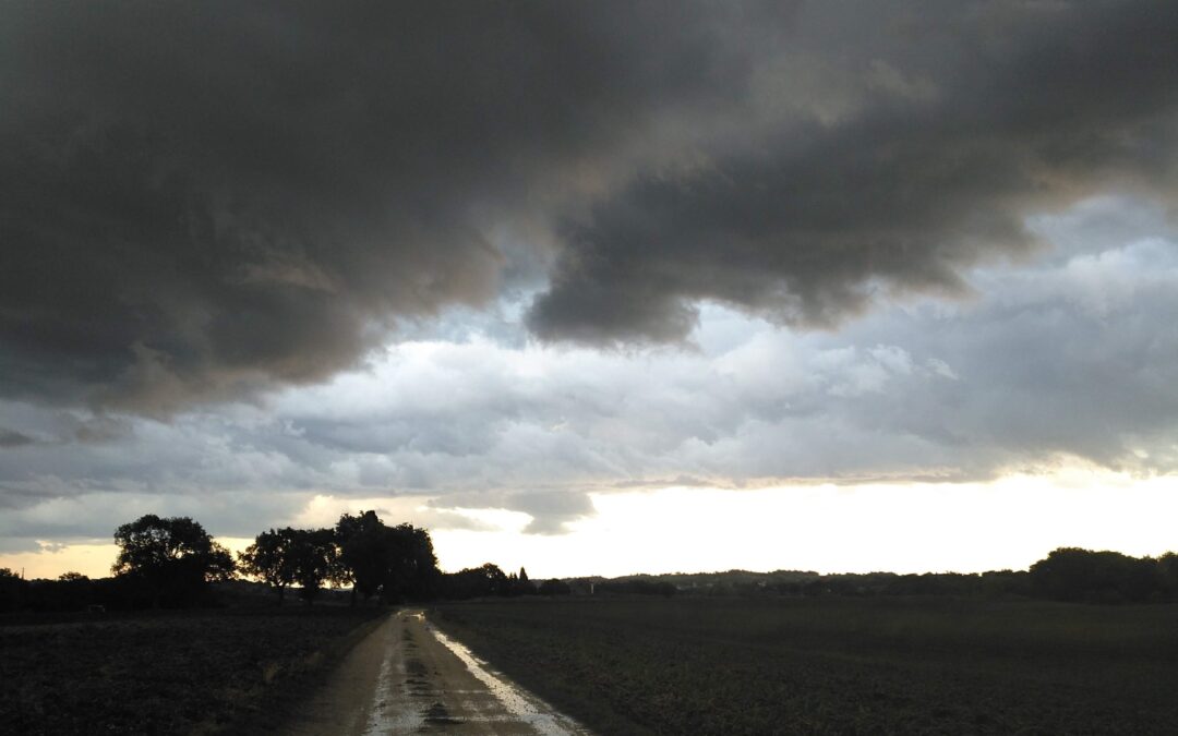 APPENA DOPO IL TEMPORALE